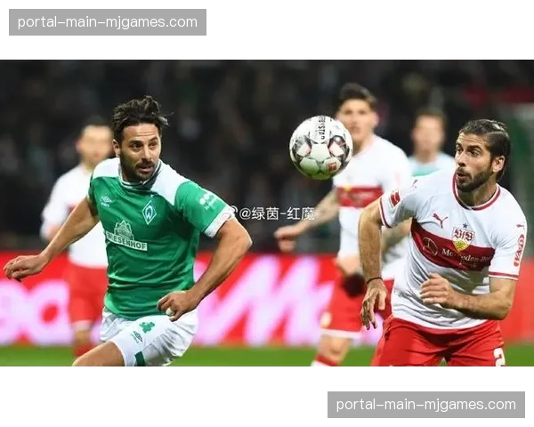 独家专访斯图加特主帅：谈球队青年军体系与下赛季欧战目标